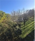 Image du bien UBI476114141